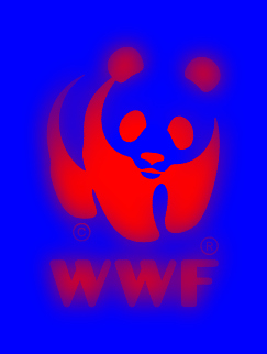 WWF: luci e le ombre del 2016
